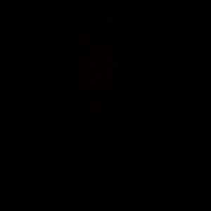 Meet your Posher, Venetia